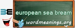 WordMeaning blackboard for european sea bream